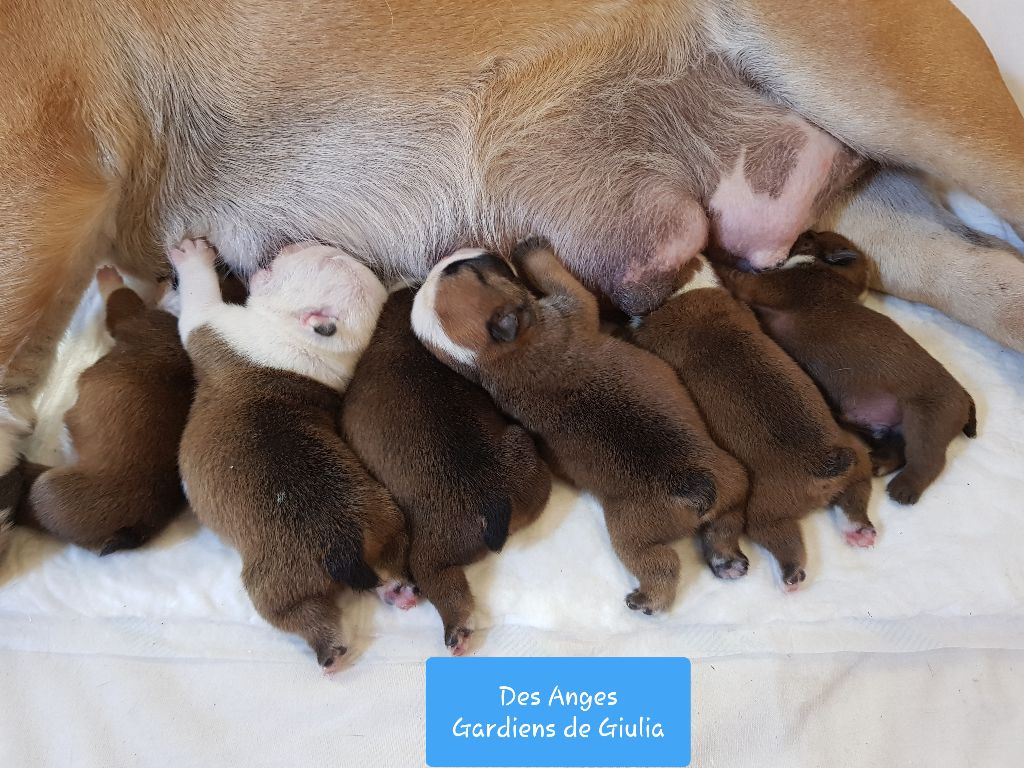 Les bébés sont nés 