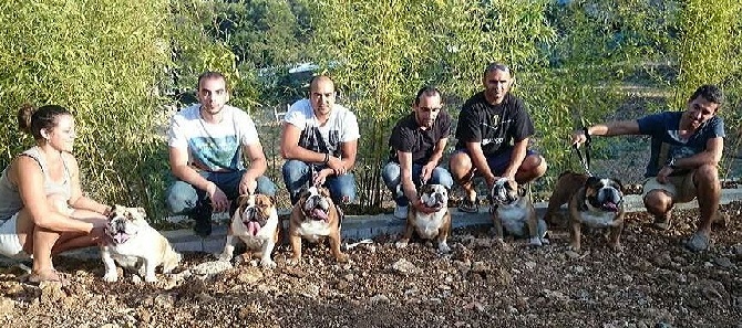 Des Anges Gardien De Giulia - Après-midi retrouvailles